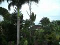 BILD0345.jpg