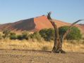 namibia048.jpg