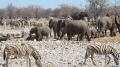 namibia051.jpg