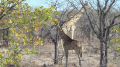 namibia053.jpg