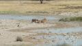 namibia058.jpg