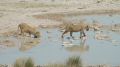 namibia059.jpg